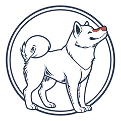 black cat with a dog