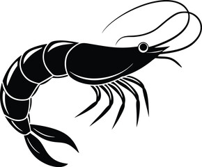 shrimp vector illustration