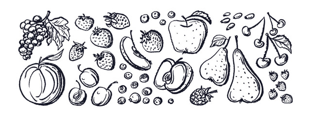 Crayon fruits and berries Vector doodle chalk set
