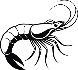 Fresh shrimp vector icon. Hand-drawn illustration isolated on white background. 