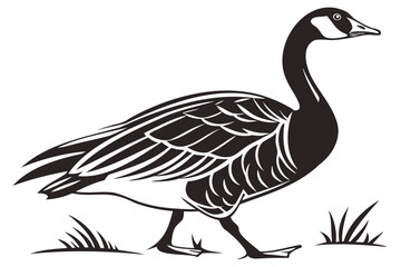 Detailed vector illustration of a canada goose walking in grass, wildlife animal drawing, black and white artwork isolated on transparent background
