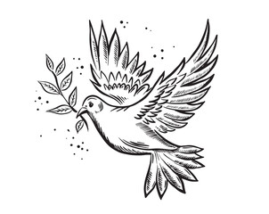 Dove of peace, hand drawn illustration.