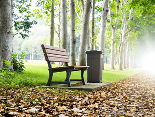 wooden park bench and trash can along a tree-lined pathway strewn with autumn leaves