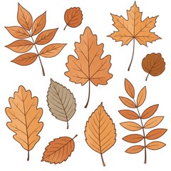 Watercolor Autumn Leaves Collection: Orange and Brown Foliage