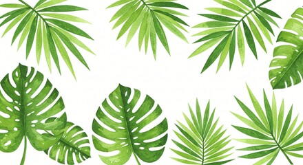 Watercolor Tropical Palm and Monstera Leaves Background, Isolated on White Background
