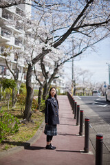 春の住宅地の満開の桜と元気な女子中学生の姿