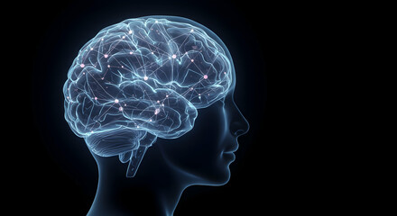 Fototapeta premium Human Brain Illustration with Neural Connections and Light Effects