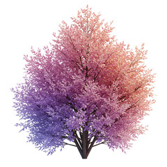 Abstract botanical tree with leaves in graduated pastel color isolated design