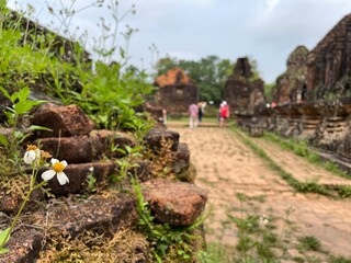 My Son Sanctuary, Quang Nam, Vietnam. 