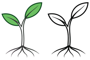Colored and outlined seedling plant illustration shows different versions on white background for coloring book cover