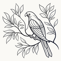 Elegant Line Art Background
