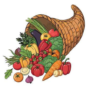 Create a vector illustration of a bold-stroked cornucopia overflowing with autumnal fruits and vegetables.  Ensure clean lines and vibrant color.