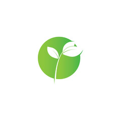 leaf's logo icon vector illustration template design
