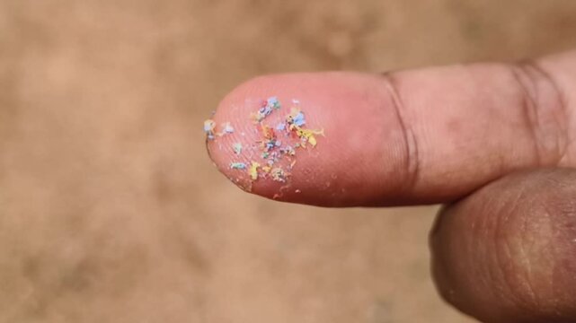 Toxic microplastic particle pieces or fragments on finger tip. Closeup macro top view. Micro or macro plastic pollution or contamination problem concept.