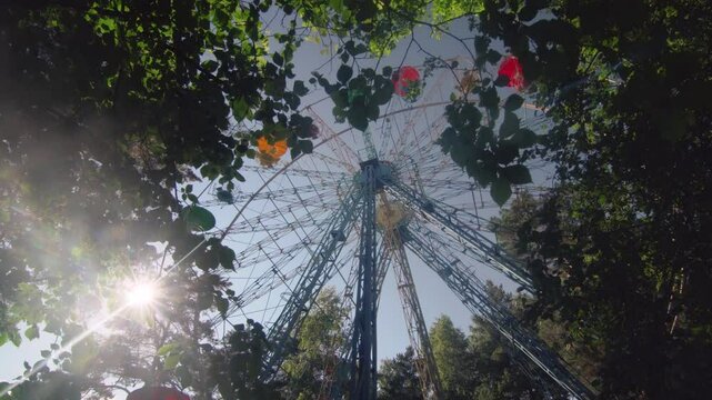 A Ferris wheel spins in a summer amusement park. The camera moves from a branch with leaves.