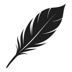 Obraz premium Elegant Black Feather Silhouette on White Background 