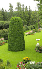 An originally trimmed thuja is the main accent in the park composition