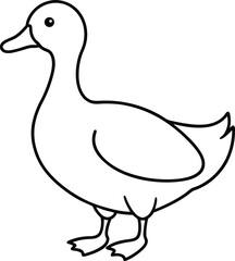 vector illustration of duck
