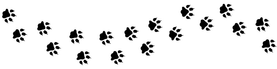 Vector paw trail of wild animal footprint. Lion tracks in silhouette isolated on white background. Long horizontal illustration with lion, dog, wolf or other animal footsteps.