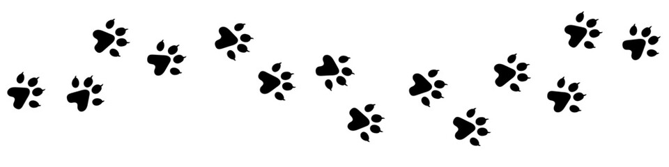Vector paw trail of wild forest animal footprint. Wolf tracks in silhouette isolated on white background. Simple illustration with wolf, dog, cat, fox or other animal path of footsteps.
