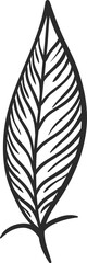 Hand drawn feather featuring thin, parallel lines creating a visually appealing striped pattern, ideal for nature inspired designs, illustrations, or artistic projects