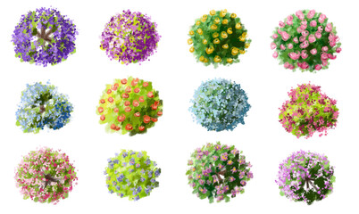 Vector watercolor of blooming tree top view isolated on white background for landscape plan and architecture drawing, elements for environment and garden,botanical elements ,blooming flower in spring