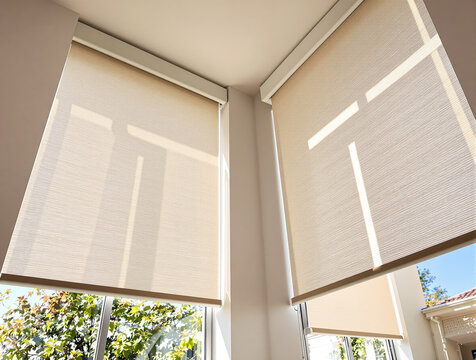 elegant cream roller shades installed in a corner window filtering soft sunlight