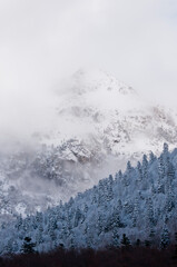 Snowy mountain range under white sky