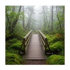 Fototapeta premium Wooden bridge through mossy forest isolated on white background