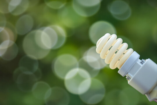 close-up of a spiral compact fluorescent lightbulb set against a bokeh green backdrop