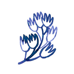 Watercolour hand drawn blue floral branch, exotic plant, blue watercolour branch with flowers use as print, poster, element design, textile, fabric, invitation, clothes print, label, sticker.
