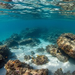 Naklejka premium Vibrant Underwater Coral Reef Scene with Tropical Fish