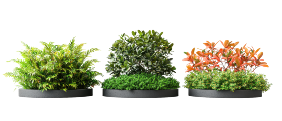Three different green and orange bush plants in round concrete pots with natural light