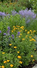 Obraz premium Vibrant Summer Garden with Yellow and Purple Flowers