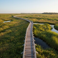 Fototapeta premium Elevated View of Wooden Walkway Through Lush Green Marsh