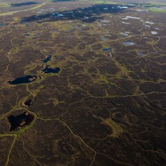 Aerial View of a Dark Brown Bog Landscape