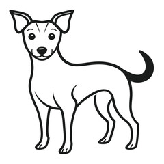 Adobe Illustrator Artwork