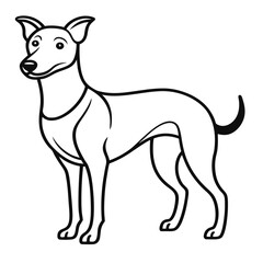 Adobe Illustrator Artwork
