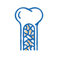 bone marrow icon doodle illustration