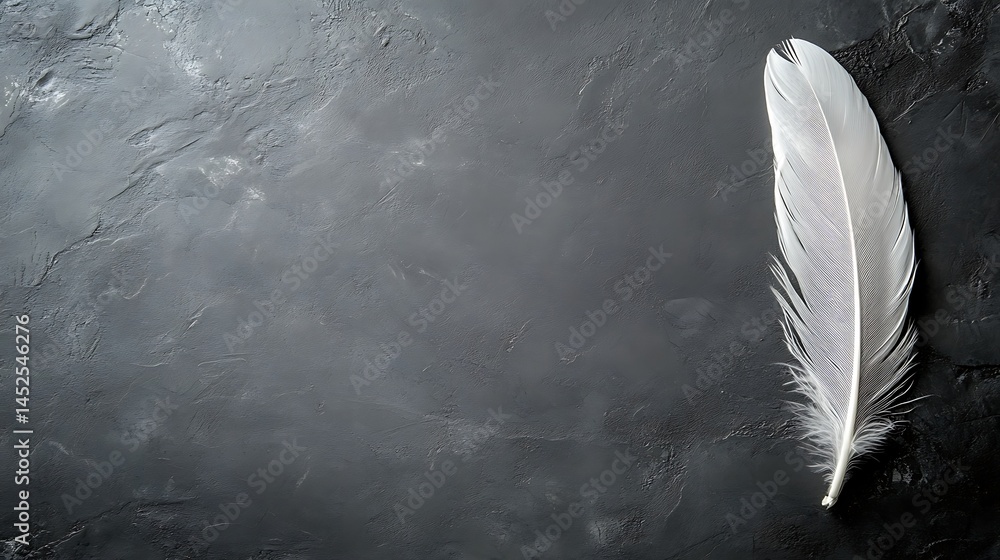 Poster elegant feather isolated on a textured gray backdrop, minimalistic design