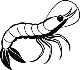 shrimp vector illustration