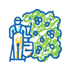 harvesting manual olive berries icon doodle illustration