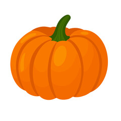 Kalabasa (Pumpkin/ Squash)