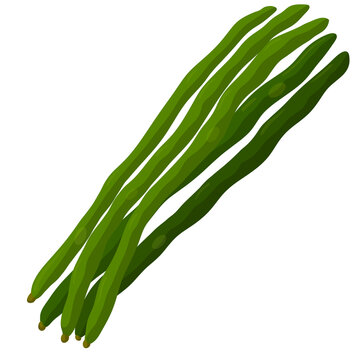 Sitaw (Yard Long Beans)