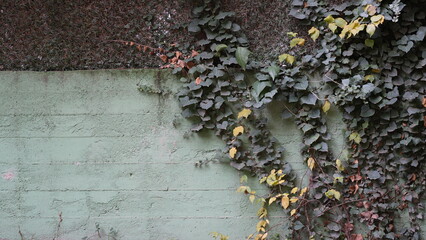 old rusty metal plate