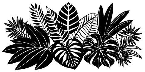 Black and White Tropical Leaves Botanical Illustration