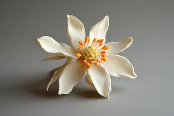 Close-up view of an elaborate, sculpted, cream-colored flower.