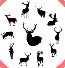 A collection of 11 deer silhouettes elements isolated over white background.elements of sitting and standing deer with different postures ready to use and editable for various artworks.wildlife icons.