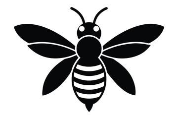 vector illustration of a bee