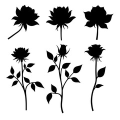 Set of black and white flowers